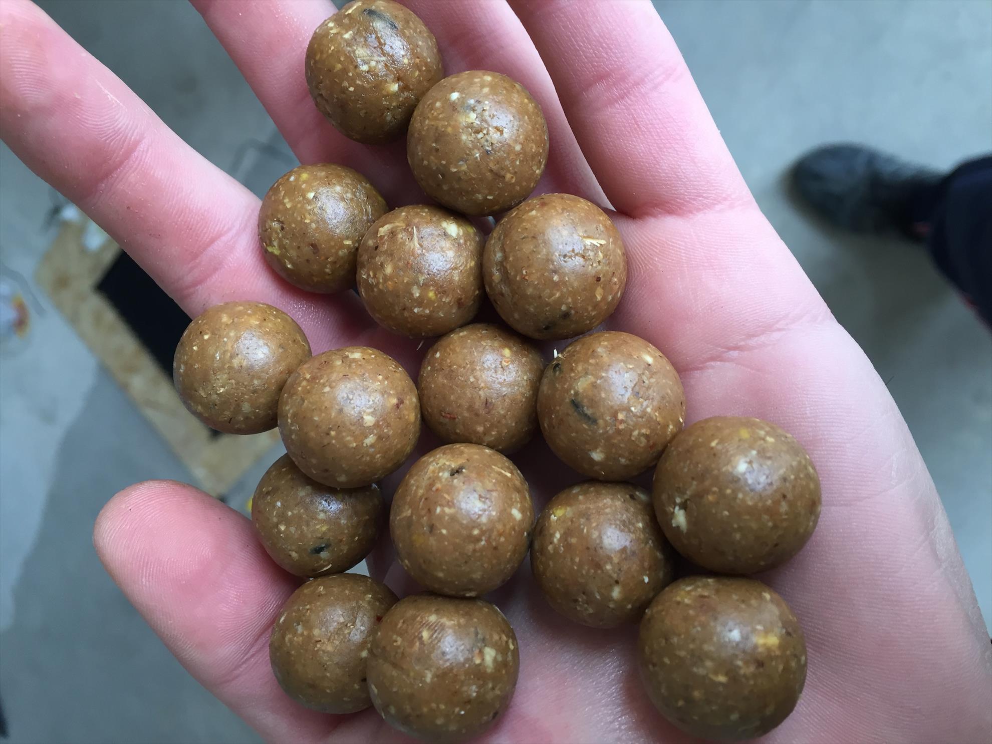 Cetariu 2015 - image1.jpeg